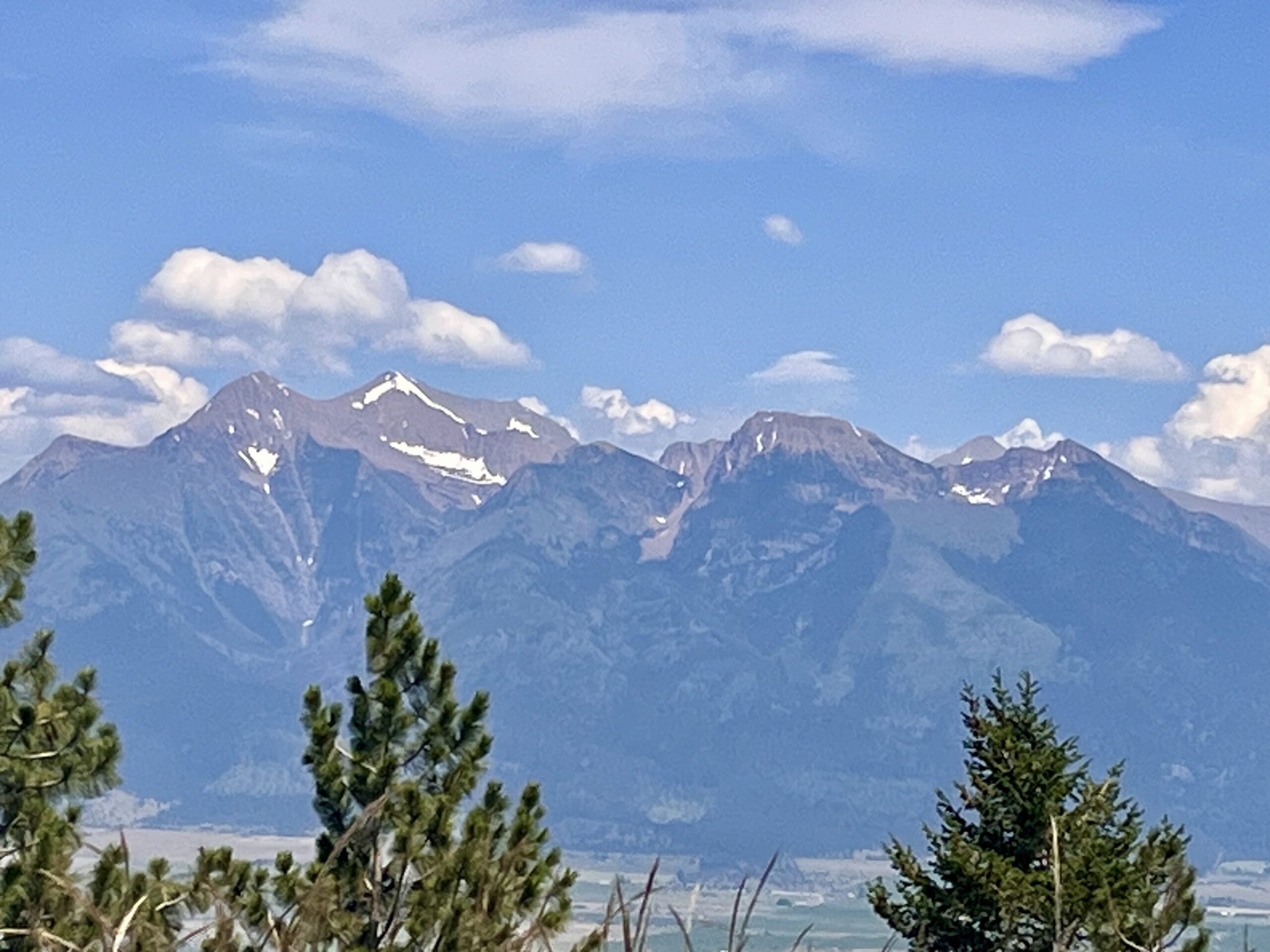 About A mountain range with snow-streaked peaks under a blue sky, seen across a valley with pines in the foreground